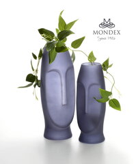 Serenite ваза 30 см цена и информация | Вазы | pigu.lt