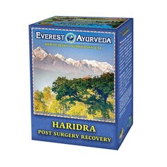 Гималайский рассыпной чай Everest Ayurveda Haridra, 100 г цена и информация | Чай | pigu.lt