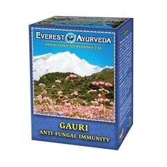 Ajurvedinė Himalajų arbata Gauri, biri, Everest Ayurveda, 100g цена и информация | Чай | pigu.lt