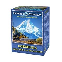 Everest Ayurveda Gokshura Гималайский рассыпной чай, 100 г цена и информация | Чай | pigu.lt