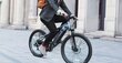Elektrinis dviratis Himo C26 MAX, pilkas цена и информация | Elektriniai dviračiai | pigu.lt