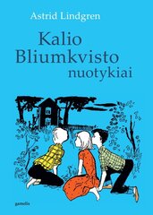 Kalio Bliumkvisto nuotykiai цена и информация | Книги для детей | pigu.lt