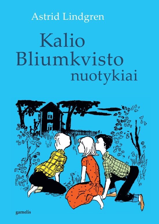 Kalio Bliumkvisto nuotykiai цена и информация | Knygos vaikams | pigu.lt