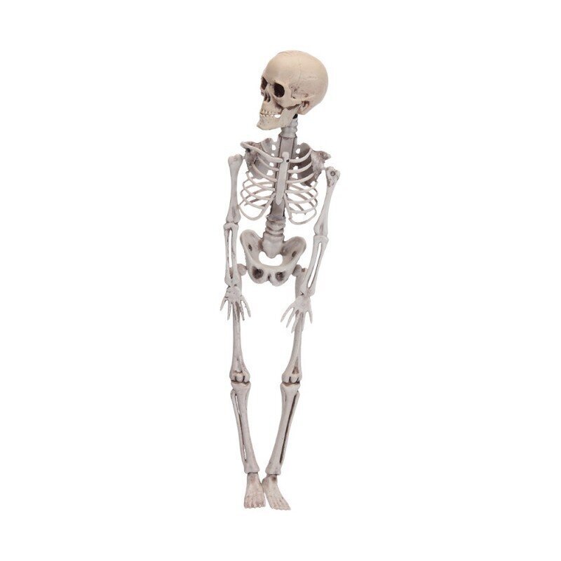 Dekoracija Helovino Skeletas, 42 cm kaina ir informacija | Dekoracijos šventėms | pigu.lt