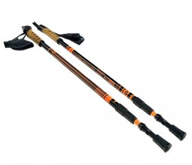 Палки для скандинавской ходьбы Pacer Bjorn, оранжевые, 2 шт. цена и информация | Палки для ходьбы | pigu.lt