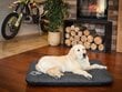 Hobbydog čiužinys augintiniui Eco Prestige Black Ekolen, R2, 100x70 cm kaina ir informacija | Guoliai, pagalvėlės | pigu.lt