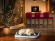 Hobbydog guolis Medico Standart Light Grey Oxford/Graphite XL, 94x62 cm kaina ir informacija | Guoliai, pagalvėlės | pigu.lt
