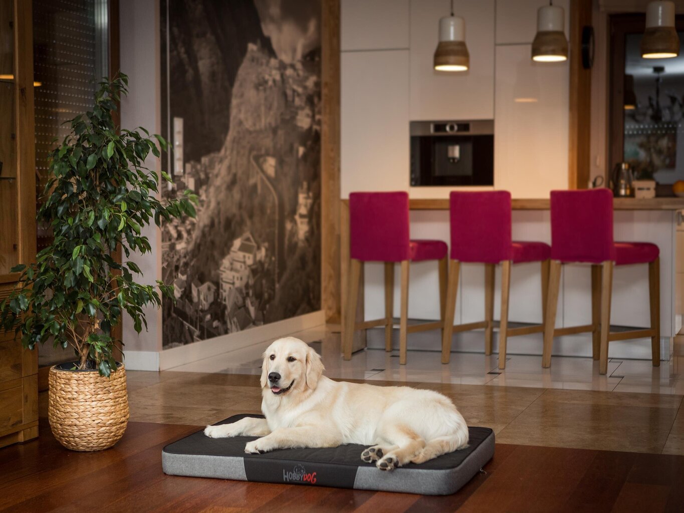 Hobbydog čiužinys Premium Black/Dark Grey Ekolen M, 80x54 cm kaina ir informacija | Guoliai, pagalvėlės | pigu.lt