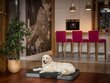 Hobbydog čiužinys Premium Black/Dark Grey Ekolen L, 100x67 cm kaina ir informacija | Guoliai, pagalvėlės | pigu.lt