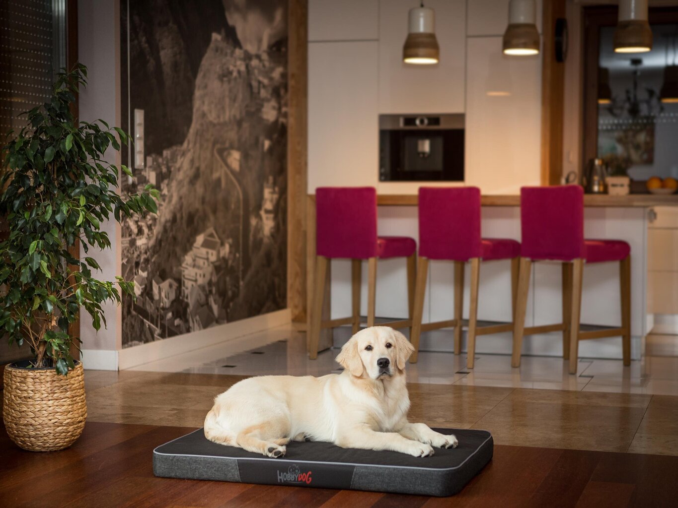 Hobbydog čiužinys Premium Black/Black Ekolen L, 100x67 cm kaina ir informacija | Guoliai, pagalvėlės | pigu.lt