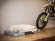 Hobbydog čiužinys Premium Light Grey Ekolen/Skaj XL, 120x80 cm kaina ir informacija | Guoliai, pagalvėlės | pigu.lt