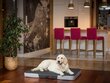 Hobbydog čiužinys Premium Graphite/Light Grey Ekolen XL, 120x80 cm цена и информация | Guoliai, pagalvėlės | pigu.lt