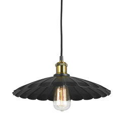 Lussole потолочный светильник Loft-9602 цена и информация | Подвесной светильник | pigu.lt