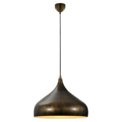 Lussole потолочный светильник Loft-9655 цена и информация | Люстры | pigu.lt