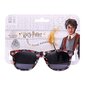 Vaikiški akiniai nuo saulės Harry Potter Juoda S0725067 kaina ir informacija | Aksesuarai vaikams | pigu.lt