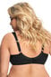 Liemenėlė moterims Gorsenia Lady Soft Bra K441 Luisse, juoda цена и информация | Liemenėlės | pigu.lt