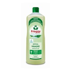 Frosch Ecologic Vinegar anti-kalkinis valiklis, 1 l kaina ir informacija | Valikliai | pigu.lt