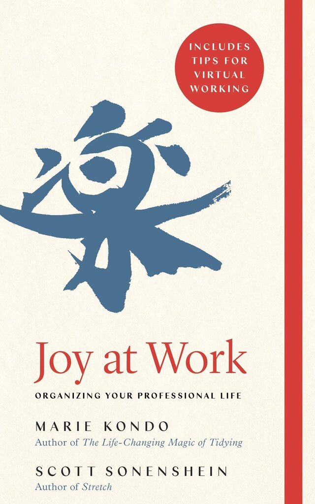 Joy at Work : Organizing Your Professional Life kaina ir informacija | Saviugdos knygos | pigu.lt