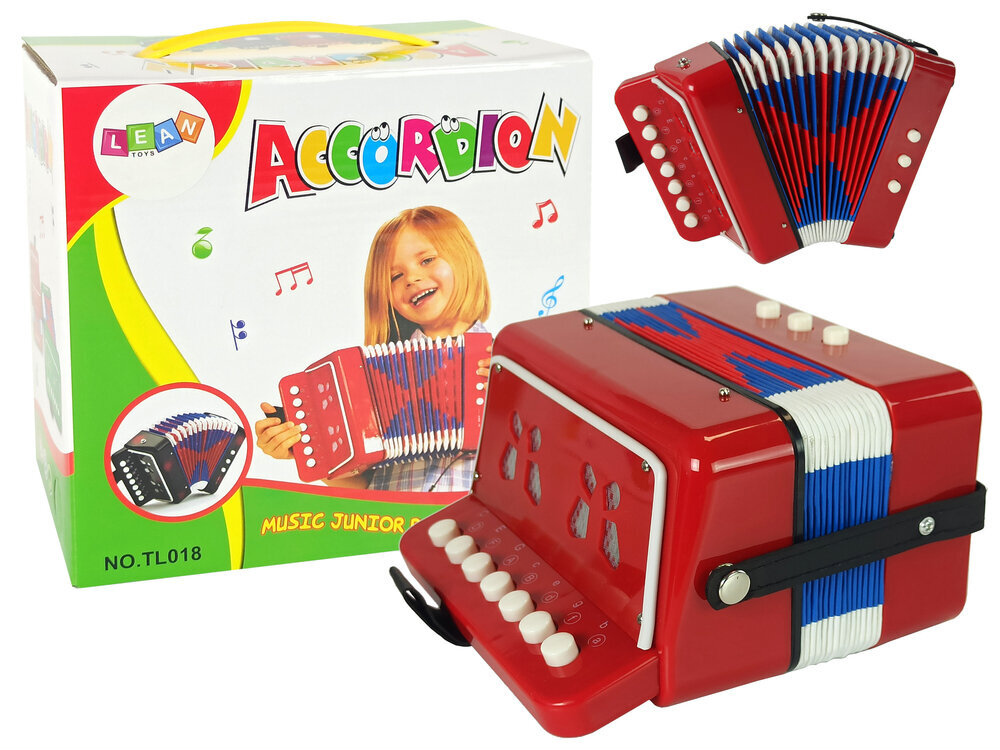 Vaikiškas akordeonas kaina ir informacija | Žaislai mergaitėms | pigu.lt