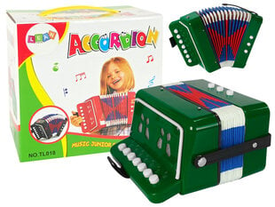 Vaikiškas akordeonas, žalias kaina ir informacija | Žaislai mergaitėms | pigu.lt