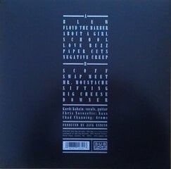 Vinilo plokštė Nirvana - Bleach, LP, 12" vinyl record kaina ir informacija | Vinilinės plokštelės, CD, DVD | pigu.lt