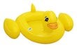 Pripučiamas plaustas Bestway Funspeakers Duck, 102x99 cm kaina ir informacija | Pripučiamos ir paplūdimio prekės | pigu.lt