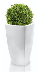 Керамический цветочный горшок Mood, квадратный, белый, 29 х 57 (А) см цена и информация | Вазоны | pigu.lt