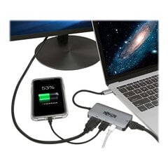 Tripp Lite USB-C Dock U444-06N-H4GUSC Single Display цена и информация | Адаптеры, USB-разветвители | pigu.lt