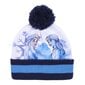 Kepurės, pirštinių ir kaklo movos komplektas mergaitėms Frozen, mėlynas kaina ir informacija | Kepurės, pirštinės, šalikai mergaitėms | pigu.lt