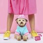 Studio Pets megztinis, mėlyna, rožinė kaina ir informacija | Drabužiai šunims | pigu.lt