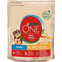 Фураж Purina Baby One (800 g) цена и информация |  Сухой корм для собак | pigu.lt