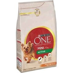 Фураж Purina Active One (800 g) цена и информация |  Сухой корм для собак | pigu.lt