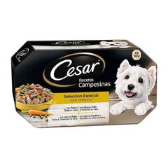 Cesar su jautiena, 4x150 g kaina ir informacija | Konservai šunims | pigu.lt