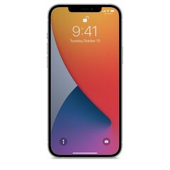 MyScreen Hybrid 0.15mm 8H Premium Japan Эластичное Стекло-пленка Apple iPhopne 13 Pro Max Прозрачное (Четкая видимость) цена и информация | Защитные пленки для телефонов | pigu.lt