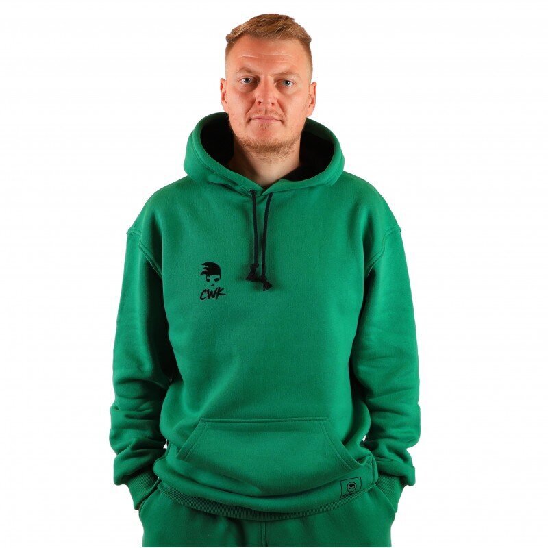 Džemperis vyrams Hoodie Green, žalias kaina ir informacija | Džemperiai vyrams | pigu.lt