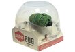 Infraraudonųjų spindulių vikšras Lean toys Ghost Bug, žalias kaina ir informacija | Žaislai mergaitėms | pigu.lt