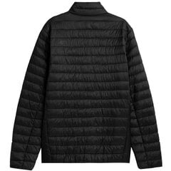 Мужская куртка 4F H4Z21-KUMP003 20S цена и информация | Мужские куртки | pigu.lt