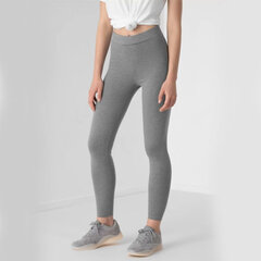 Женские спортивные штаны 4F NOSH4 LEG350, серые цена и информация | Спортивная одежда для женщин | pigu.lt