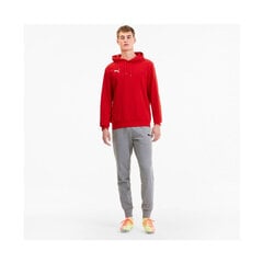 Vyriškas džemperis Puma teamGOAL 23 raudonas 656580 01 kaina ir informacija | Džemperiai vyrams | pigu.lt