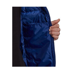 Куртка мужская Adidas Essentials Down M GT9173 цена и информация | Мужские куртки | pigu.lt