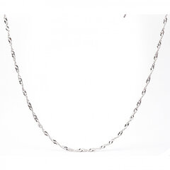 Серебряная цепочка SD1450 цена и информация | Украшения на шею | pigu.lt