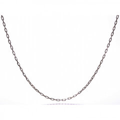 Серебряная цепочка SD1401 цена и информация | Женское колье | pigu.lt