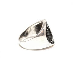 Серебряное кольцо SGZKY-1216 цена и информация | Кольцо | pigu.lt