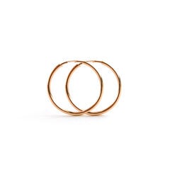 Auksiniai auskarai - žiedai ZAK20 kaina ir informacija | Auskarai | pigu.lt