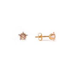 Žvaigždutės formos auksiniai auskarai ZA2474/6 kaina ir informacija | Auskarai | pigu.lt