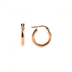 Auksiniai auskarai - žiedai ZAX3TE0002.5-10 kaina ir informacija | Auskarai | pigu.lt