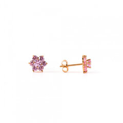 Auksiniai auskarai su rožiniais cirkoniais  ZA3973R ZA3973R kaina ir informacija | Auskarai | pigu.lt