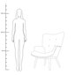 Fotelis, 50 x 96 cm, juodas kaina ir informacija | Svetainės foteliai | pigu.lt