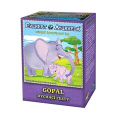 Everest Ayurveda Gopal рассыпчатый чай для детей, 100 g цена и информация | Чай | pigu.lt