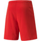 Vyriški šortai Puma teamRISE raudoni 704942 01 kaina ir informacija | Futbolo apranga ir kitos prekės | pigu.lt
